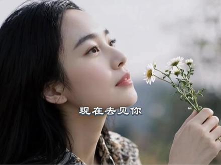 跨越雨季,只为赴你一面之约