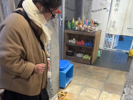 布灵布灵布灵是我 布灵布灵在干嘛~#柯基 #小狗 #萌宠出道计划 #创作者扶持计划