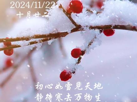 2024年11月22日——小雪。小雪节气可不是说一定会下雪,而是到了小雪这一天 往后的天气就越来越冷了,降水的形式也将由雨变成雪。(甘肃广电总台全媒体记者 边静谊)#甘肃观察 #你的城市下雪了吗 #小雪 #静谊说二十四节气