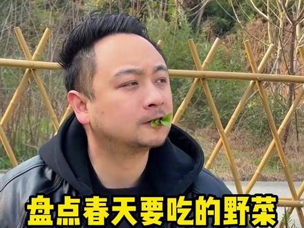 春天到了,田里吃的野菜,大家都吃过哪几种呢?#挖野菜 #王宝钏挖野菜