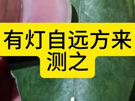 新灯自远方免费来,实话测之!
有需要的抖音商城按需入手@润锦车灯
#射灯测评 #灯光改装 #拼多多好物推荐 #电动车射灯 #摩托车射灯