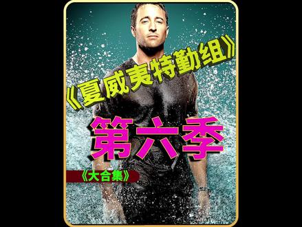 夏威夷特遣队第六季完整版(西) #我的观影报告 #大片即视感