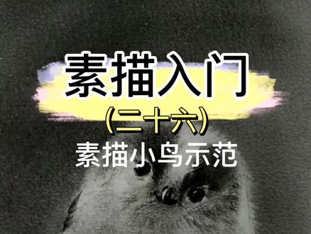 素描入门之麻雀小鸟画法!#画画 #素描 #手绘 @抖音小助手