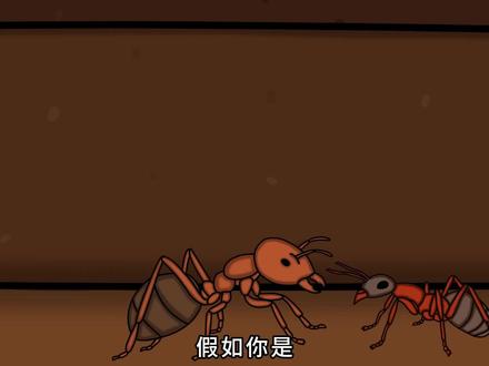 假如你是切叶蚁 #动物科普 #切叶蚁 #动画短片