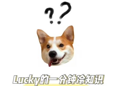 #创作灵感 狗子蛋蛋红怎么办?#宠物知识 #狗狗 #科学养宠攻略