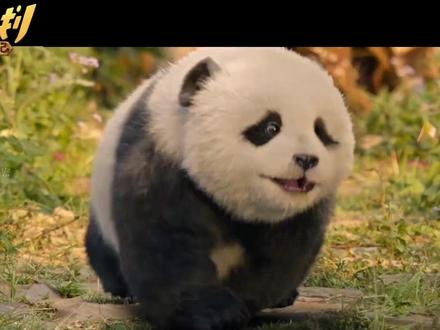 合家欢拍成“弱智”?《熊猫计划》毁了“成龙”! #熊猫计划 #熊猫计划成龙 #成龙 #马丽沈腾 #春节档电影评分