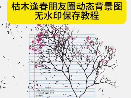 你要的枯木逢春朋友圈动态背景图高清无水印免费保存教程来了 #枯木逢春背景图 你要的枯木逢春朋友圈动态背景图高清无水印版免费保存教程来了#枯木逢春朋友圈背景图 微信背景图枯木逢春高清无水印 #微信背景图枯木逢春 微信朋友圈背景图动态#思花背景图 出处在@思花 老师