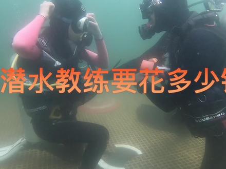 讲真,水肺教练都是熬出来的…我当dmt当了两年,直接摆烂,哈哈哈…#潜水 #水下摄影 #自由潜 #水肺潜水