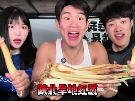 陕北旱地红葱 不就几根小葱吗 吃起来根本没感觉好吧 只是想到感动的事情了#嘴硬#葱#不辣