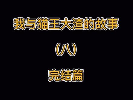 #关爱流浪猫 #猫 #流浪猫 #流浪猫日常 #猫咪 今天我与猫王大渣的故事就更新完了,感谢你们陪我一起经历🙏