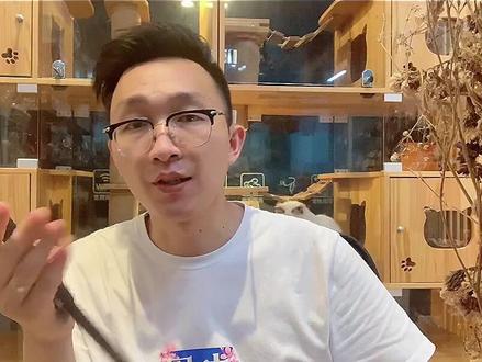 狗狗吃了葡萄咋办?#科学养宠攻略 #养狗经验分享 #养宠技巧干货