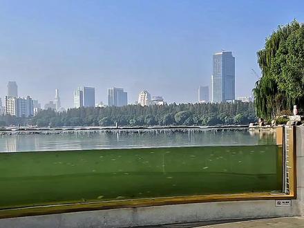 打卡玄武湖网红"超极大鱼缸"