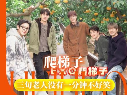 这就是我当年拼了命追的星吗…#exo #爬梯子 #综艺 #搞笑