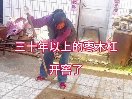 你见过放枣木杠的窖吗?#阜平 #枣木杠