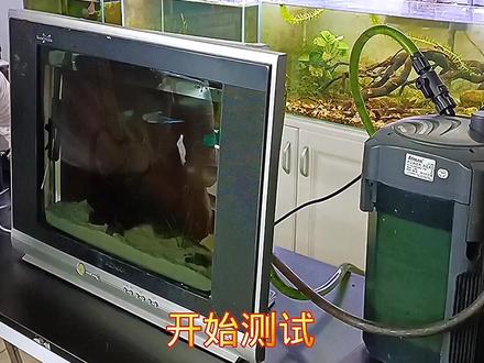 电视机改装成鱼缸基本完成,你喜欢吗?#电视机显示器鱼缸 #鱼缸造景 #手工制作 #水族