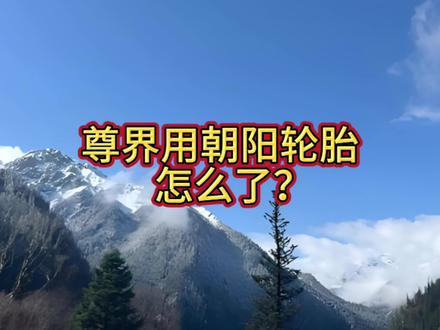 尊界用朝阳轮胎,怎么了? #说车聊车 #尊界 #朝阳一号 #轮胎