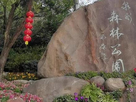 泉州森林公园#泉州公园 #泉州旅游景点推荐#泉州风景 #泉州景点