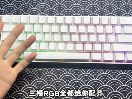 百元出头入门磁轴键盘-狼蛛mini60 #狼蛛mini60#狼蛛#游戏外设#磁轴键盘