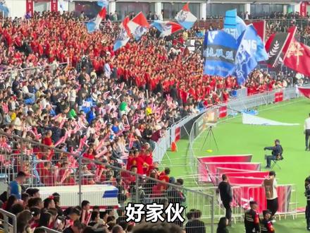 外网视角下的苏超竟是救世主般的存在?#苏超 #科普 #外国人看中国 #硬核深度计划