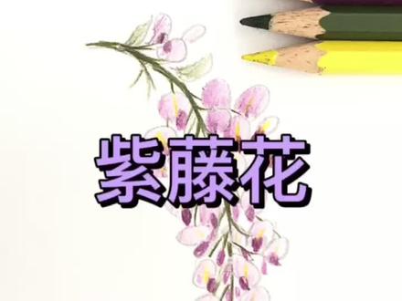 🍓教你画紫藤花#简笔画 #每日一画 #一起学画画 #元宵节