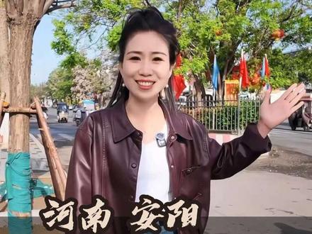 长在路中间的神奇古树!槐抱椿同根共生,本地人代代守护的活化石,#安阳文旅 #汤阴槐抱椿 #神奇古树 #小众景点 #河南宝藏打卡地