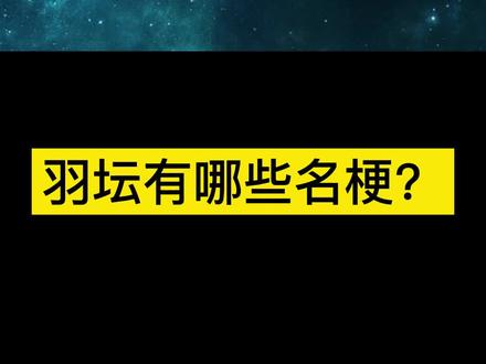 羽坛有哪些名梗?#羽毛球