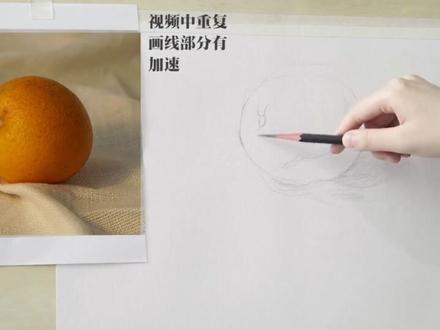 素描(静物写生)6.橙子的画法#教育 #素描 #艺术 #画画