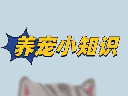 猫咪屁股上老是粘屎怎么办?#宠物知识 #宠物吃货 #铲屎官的乐趣 #猫 #家有傻猫 #猫咪的迷惑行为 #萌宠vlog