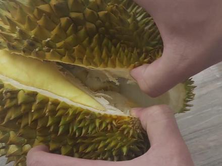 快乐是什么?#快乐就是开榴莲
快乐就是开榴莲合口的
如果吃榴莲是一种满足,那开榴莲就是一种享受#榴莲 #金枕榴莲 #榴莲盲盒