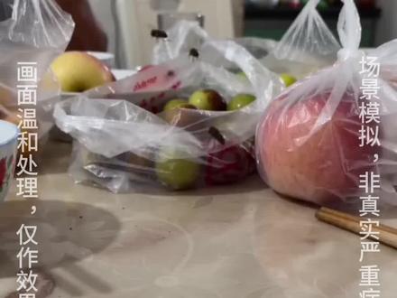 苍蝇到处乱飞,美观又实用的驱蝇魔盒,轻松搞定
