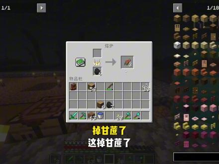【腐坏之地】全都奇形怪状的?! #我的世界 #小凡 #腐坏之地