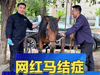 养马的老铁注意了,马结症不用慌。 养马人必备收藏,#真实生活分享计划 #马疾病治疗 #全国养马人 #马匹疾病@李三臧