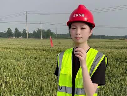 丰沛高速即将开工!#高速公路 #高速项目 #工程建设项目 #工地打包箱 #江苏打包箱厂家