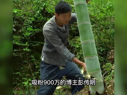 彭传明被质疑有幕后团队,是否将变成第二个李子柒? #娱乐 #网红 #彭传明