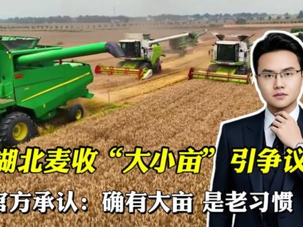 官方回应湖北收麦遇“大小亩”!不是讹诈是旧俗?跨区麦客被坑惨
