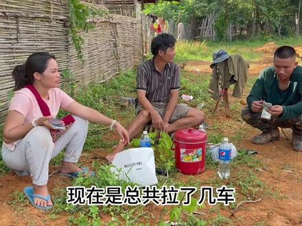 在老挝盖房地基挖好了,中国女婿找人拉沙子石头,四车要1200万?#老挝 #三合院 #老挝媳妇 #海外茶话会 #千万生活dou来拍