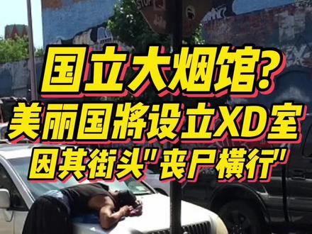 美丽国将设立XD室,因其街头“丧尸”太多?越看越迷惑,不愧是你