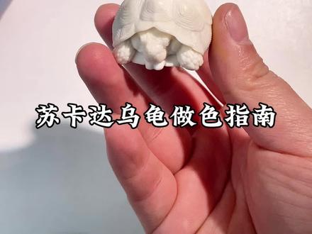 苏卡达乌龟做色#古法植物染 #指南 #文言文 #夜叉五倍子 #鹿角根付