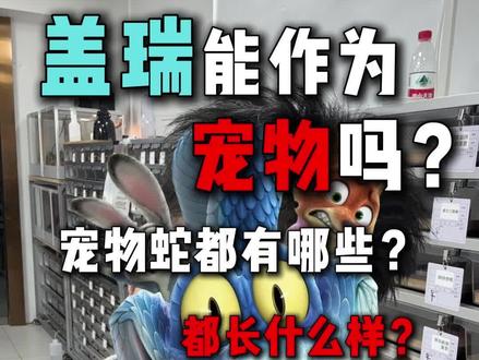 疯狂动物城的盖瑞能作为宠物吗?答案是不能!
#爬宠 #宠物蛇 #玉米蛇 #黑王蛇 #守宫