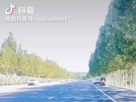 科三靠边停车扣分标准