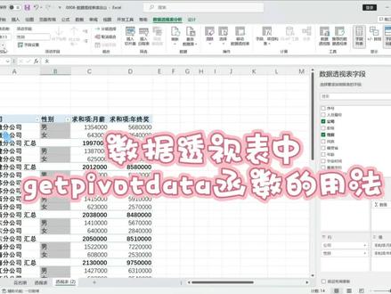 深入了解数据透视表中的getpivotdata函数#office办公技巧 #excel技巧 #数据透视表教程 #每天学习一点点 #职场干货