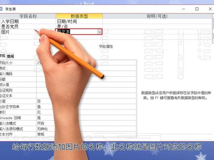 Access数据库窗体控件-图像控件的使用 #Access #access数据库 #数据库设计 #VBA