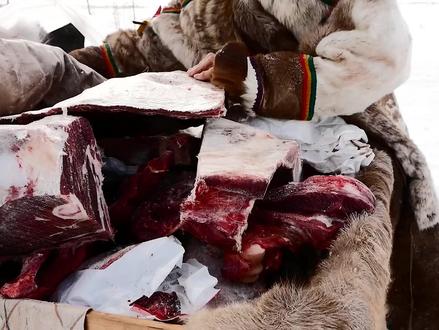 涅涅茨人吃生肉喝鹿血,只有这样能在极寒之地生存 #涅涅茨人 #因纽特人 #野外生存 #极寒天气