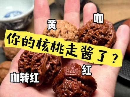 #文玩 #文玩核桃 #文玩手串 你的核桃酱了嘛?