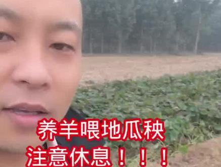 #三农养殖 养羊技术干货