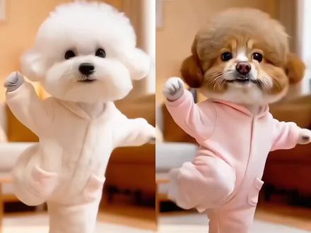 小狗跳大花轿AI制作教程来了#剪映 #大花轿 #小狗跳舞搞笑视频 #张艺兴 #小狗跳舞 小狗跳大花轿舞ai特效教程,大花轿舞蹈,宠物跳大花轿,小狗跳舞特效,小狗跳大花轿舞蹈,小狗跳大花轿,萌宠大花轿一键剪同款,小狗跳大花轿,