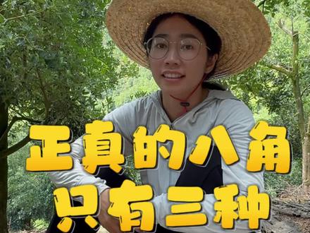 八角其实只有三种,但是现在市面上多出来了一种,你知道是哪种吗?