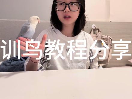 洒洒水的展翅训练分享
#牡丹鹦鹉 #训练日常 #训鸟教程
