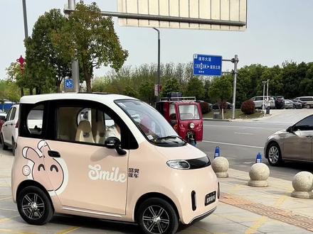 喜提新车啦,我选的盛昊佩奇plus粉色的,全款1.68拿下的,电池装的是60 伏119安的,可以跑120公里,小县城接送孩子带娃出行完全够用哦,以后这就是我的宝宝巴士啦,给我看看你们的溜娃车都什么样#接送孩子上下学代步车 #女生的车 #四轮车代步车