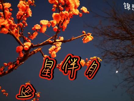 偶遇金星伴月,古人认为此大凶大煞,为什么呢?
